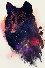 Galaxy Wolf Cutout Spray Figures Painting Print Wall Art Home – POSTER 20×30