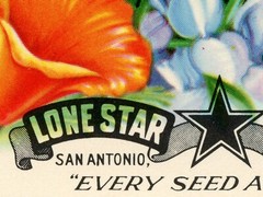 Vintage Garden Seed Packet Digital Print (multiple poster sizes)
