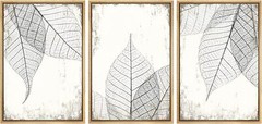 Black and White Transparent Leaf Wall Art Framed Canvas Prints Set of 3