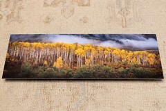 Colorado Landscape Autumn Metal Print Wall Art – 18 inches by 6 inches