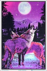Timberwolves Flocked Blacklight Poster 23″ x 35″ Two Wolves Under Moonlight