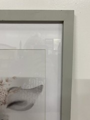 Stupell Industries Sketched Fluffy Deer Flowers, Design by Studio Q White Framed