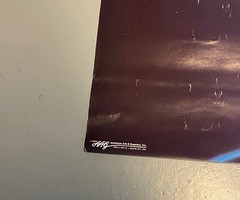 1989 ‘Electric’ Black Panther poster (unused) 22 1/2 x 34 inches