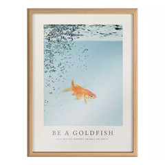 Blake Be a Goldfish by the Creative Bunch Studio Framed Glass Art Print 24 In. X