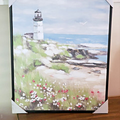 16 x 20 Picture in Black Floating Frame of Costal Lighthouse