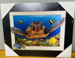 3D Canvas 3in1