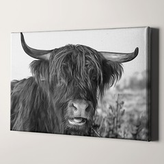 Highland Cow Scottish Cattle and Yaks Farm Animals Canvas Wall Art Print
