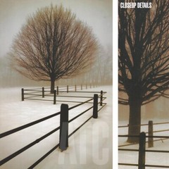 32W»x48H» SOLITUDE by DAVID WINSTON – SOLO TREE PHOTOGRAPHY – CHOICES of CANVAS