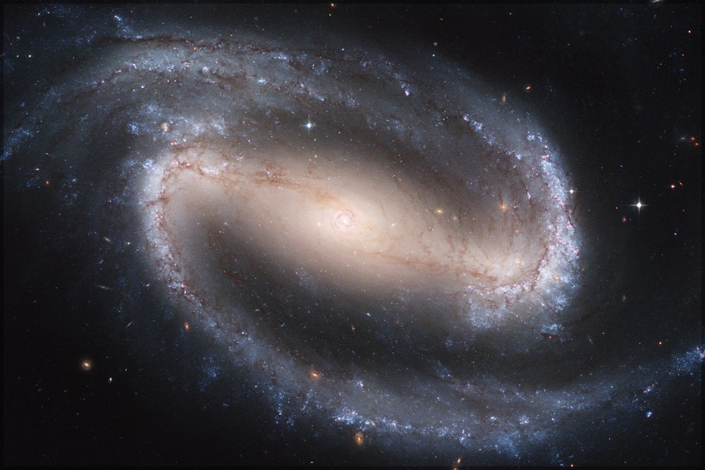 Poster, Many Sizes; Ngc 1300 Barred Spiral Galaxy Ngc 1300 Hst