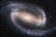Poster, Many Sizes; Ngc 1300 Barred Spiral Galaxy Ngc 1300 Hst
