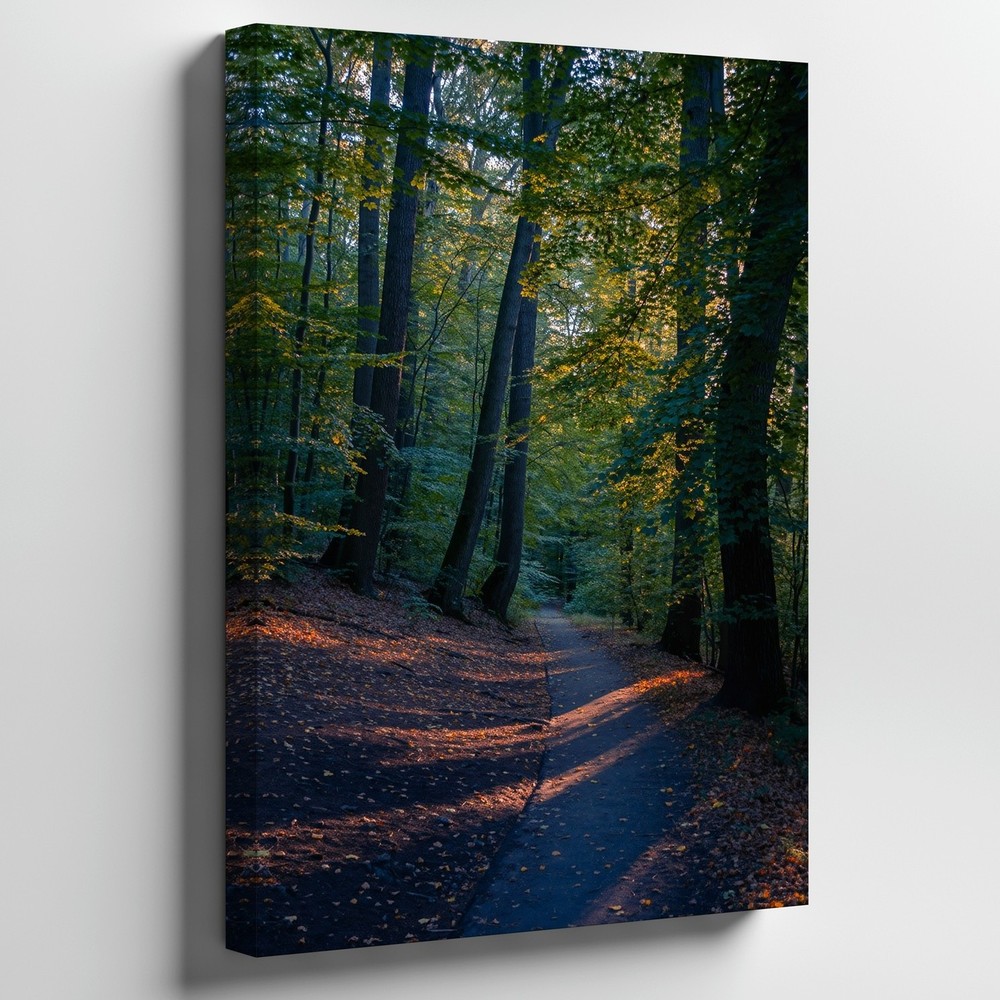 Wall Art Serene Forest Scene At Dusk, Featuring Tall, Majestic Trees With Thick
