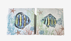 Set of Two 12″ x 12″ Stupell Industries Aquatic Striped Fish Canvas Wall Art