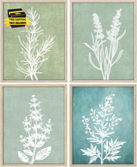 Vintage Botanical Prints for Wall Decor, Unframed Boho Wall Art, Rustic Farmhous