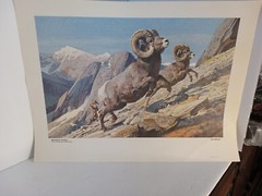 Vintage…Lot 3 .Original ..Gallery «Kuhn» Animal Art Prints Office..Cabin..Farm