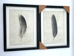 Set Of 2 Frames Wall Art Bird Feathers Hanging NEW/OPEN BOX.