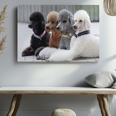 Four Poodles Black Brown Gray White Dog Canvas Wall Art Print Home Decor