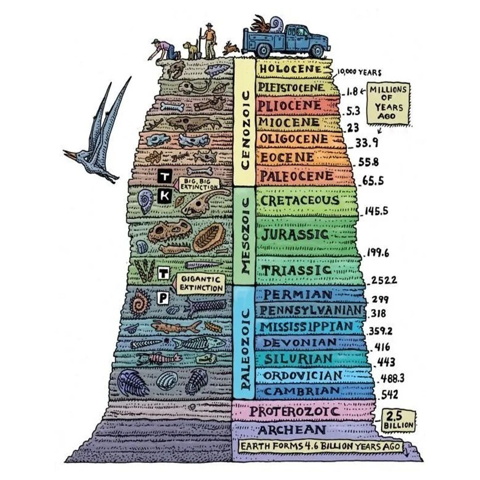 Geologic Time Scale Evolution Chart Educational Science Poster