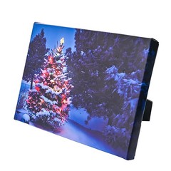 Small Light Up Pictures 8x6in w/Timer, Standing Framed Lighted Canvas Christm…