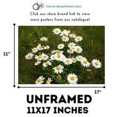 White Daisy Flower Art Print – Minimalist Botanical Wall Decor Unframed