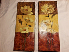 Set of 20″ Tall Daisy/Magnolia Flowers Giclee Canvas Wall Art – Silvia Vassileva