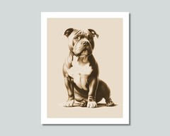 AMERICAN BULLY Dog Photo Picture Pet Print in 8×10, 8.5×11 or 11×14 WB2s