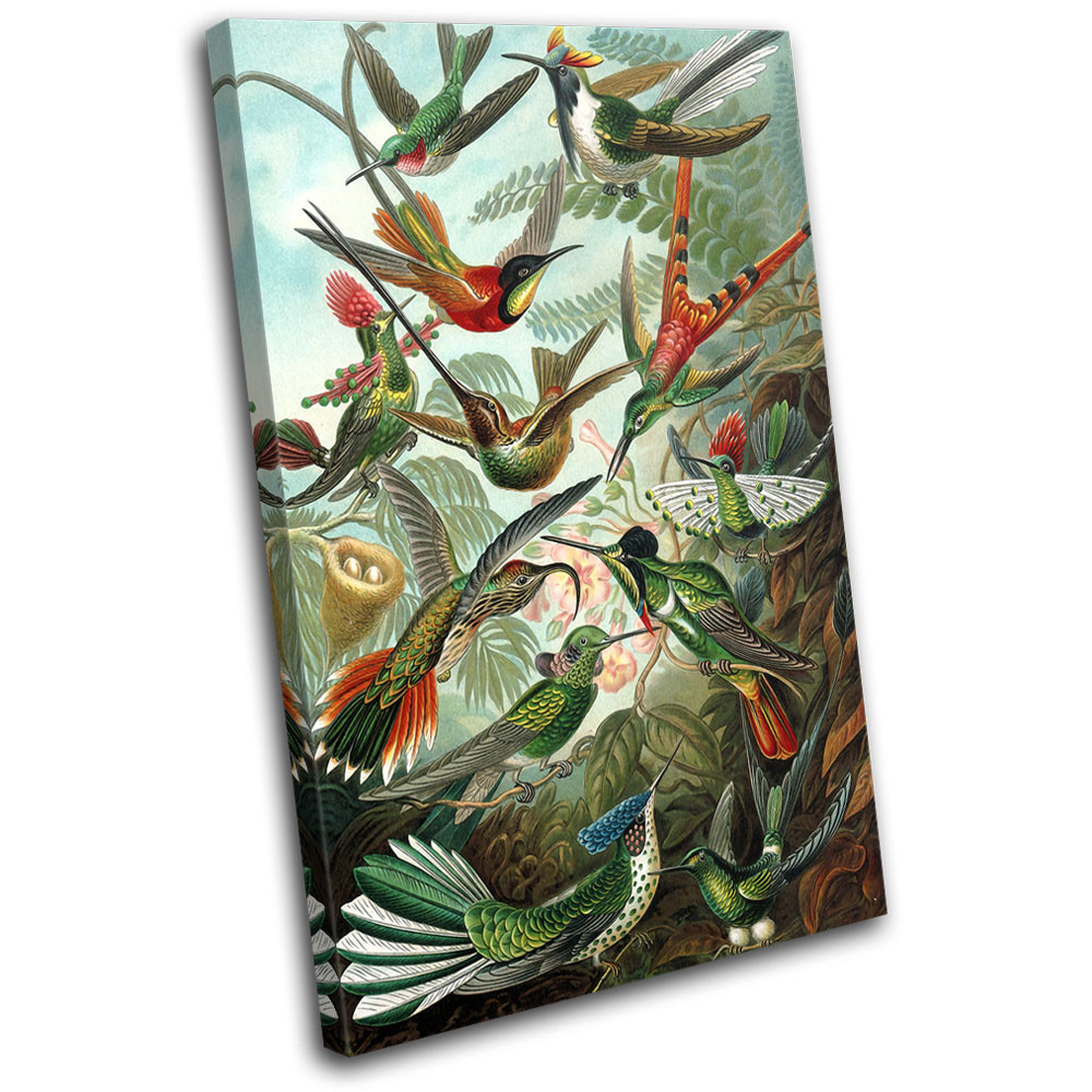 Birds Floral Tropical Vintage Animals SINGLE CANVAS WALL ART Picture Print