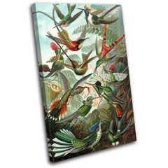Birds Floral Tropical Vintage Animals SINGLE CANVAS WALL ART Picture Print