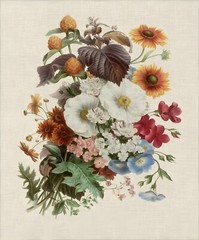 Vintage French Botanical Boquet Print Set Flower Floral Wall Art Prints Set of 6