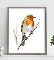 Wildlife Wall Art Print, Orange Chest Bird Art Print, Wall Art Decor, Home Decor