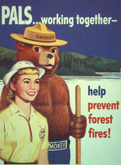 Smokey The Bear Prevent Forest Fires Vintage Advertisements 8.5×11 Photo Print