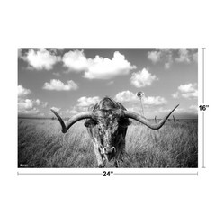 Texas Longhorn Standing in Pasture Room Home Decoration Living Room and Modern F