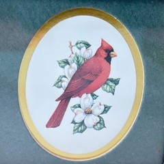 Framed Bird Prints Kathy Seek Ruby Throat Hummingbird Cardinal 1994 Set of 2