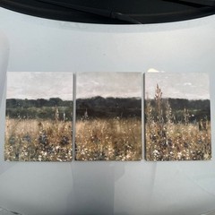 3 Piece Canvas