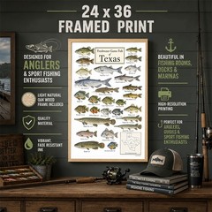 Texas Freshwater Fish Framed Poster 24×36 – Fishing Species Chart