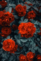 Beautiful Red Roses Tree Art Wall Decor – POSTER 20×30