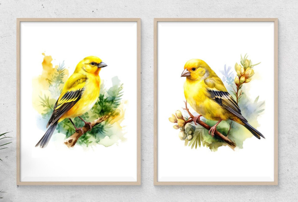 Canary Wall Art Prints, Set of 2 Yellow Canary Art Prints, Wall Art Decor