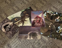 VTG 70/80s Scholastic Troll Book Club 5 Poster Art Lot Wildlife Animals Raccoon