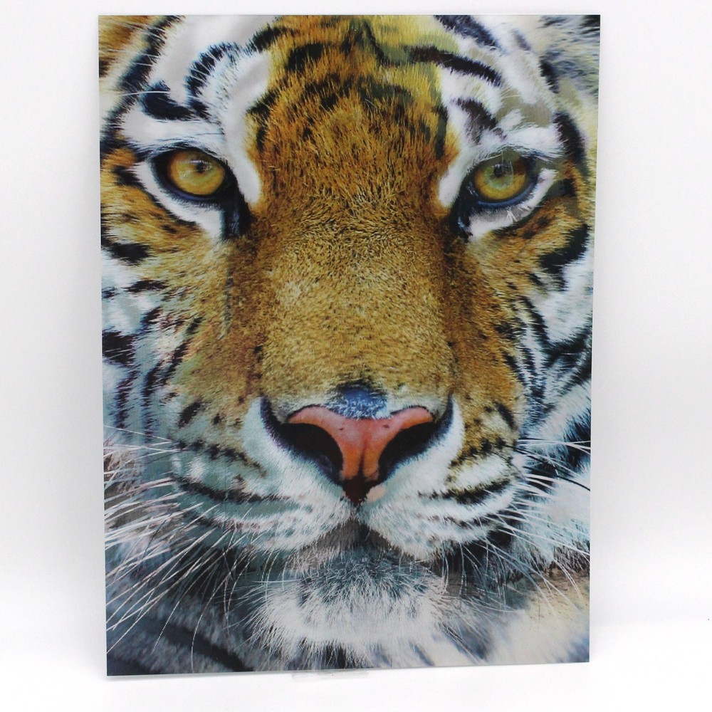 Tigers 3D Lenticular Poster Flicker 2 Images 12 x 16 Inches Print