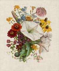 Vintage French Botanical Boquet Print Set Flower Floral Wall Art Prints Set of 6