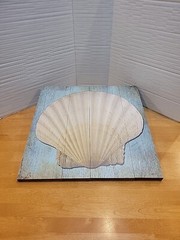 Sea Shell On Barn Board Maine New England Seller Original Owner Coastal Beach