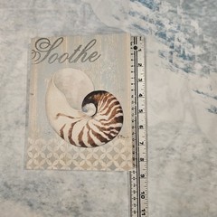 Coastal Beach Wall Art Set of 3 Canvas Prints Shell Starfish Nautical Decor Calm