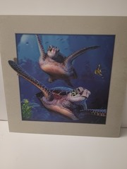 Sea Life Turtles 3D Lenticular Picture 15.5″ X 15.5″ (Pic 11.5″ Insert)New