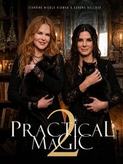 Practical Magic 2 (2026) Movie Poster – New Film Fan Collectibles