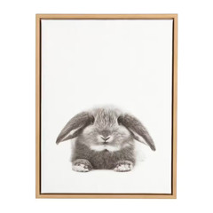 24 In. X 18 In. «Rabbit» by Tai Prints Framed Canvas Wall Art