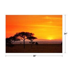 Serengeti Sunrise Panorama Photo Art Print Poster 24×36 inch