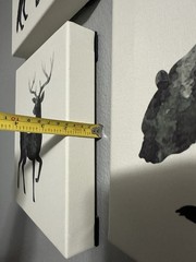 Canvas Animal Prints Wall Art Decor Set 4 Black and White Bear Wolf Moose Deer