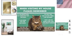 Charming Cat Metal Tin Sign – Funny Home Wall Art for Cat Lovers, 8×12 Inch