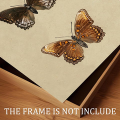 Vintage Butterfly Wall Art, Retro Butterfly Illustration Canvas Print, Neutral V