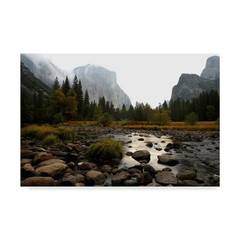 Chris Bliss ‘Yosemite’ Canvas Unframed Photography Wall Art 22 In. W. X 32 In