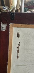 Vtg Rooster Chickens Farm Life Oil Painting on Canvas Frame 30X20.5″ Art 25X16″